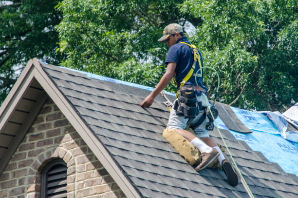 Professional Roofing Contractor in Malta, MT